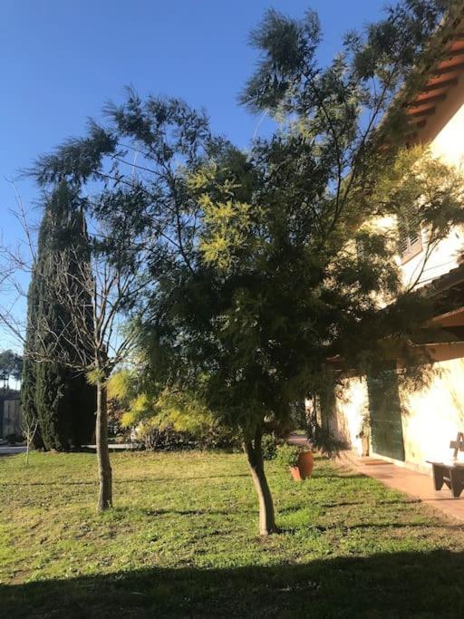 Casa Isabelle Apartment Canneto  Exterior photo